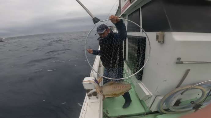 南種子町で魚釣りをする人と網に入った魚