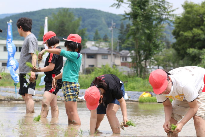 皆野町の小学校総合学習「みなの学」の授業内で行われる田植えの場面