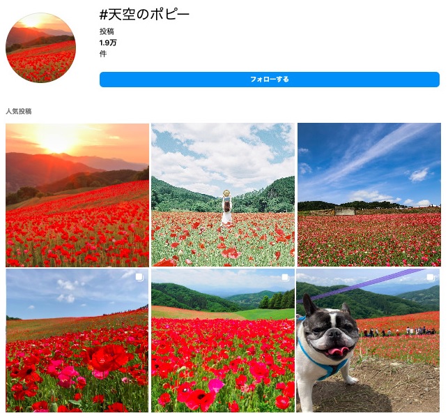 天空のポピーのインスタキャプチャ