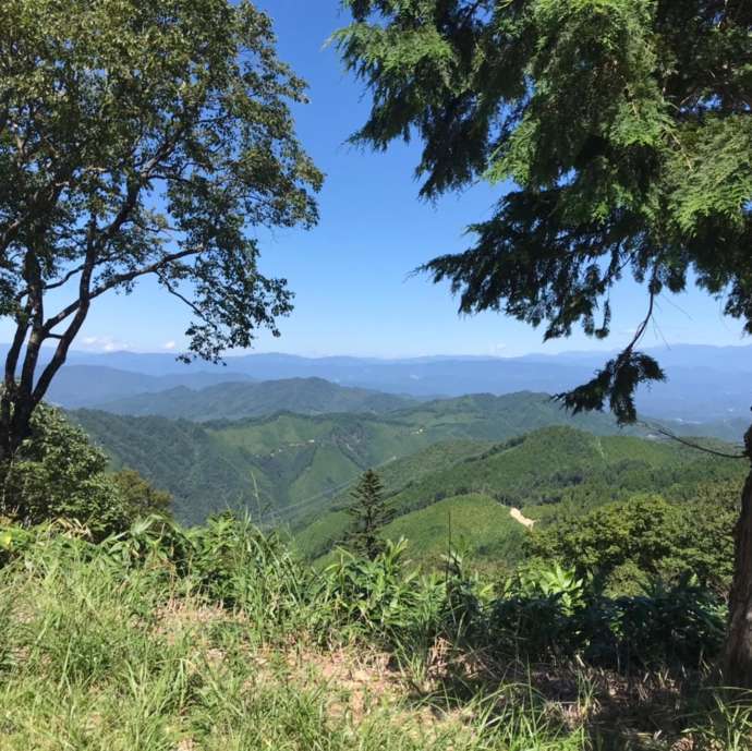 飛驒一宮水無神社の御神山である位山からの眺望