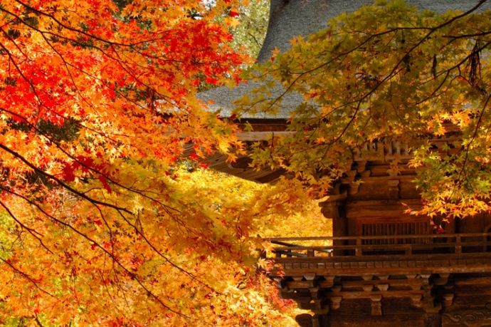 大矢田神社