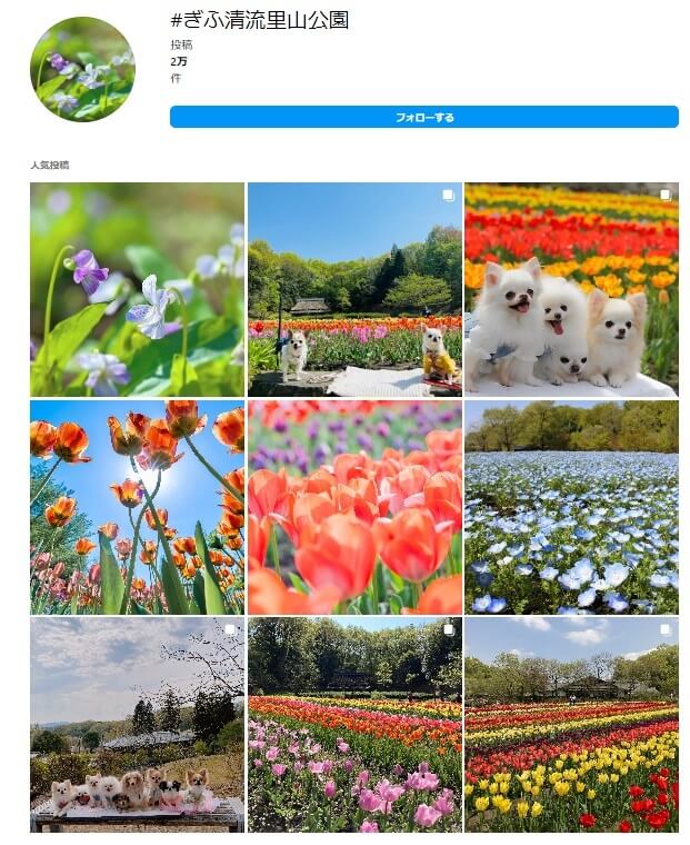 インスタグラムに投稿されているぎふ清流里山公園の写真