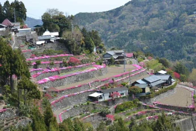 高開石積みの風景