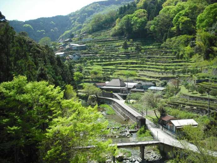 川田川と高開石積みの集落光景