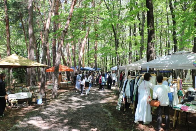 「遺跡の森総合公園」のこども広場