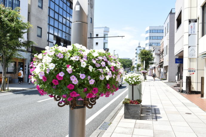 三島市の街並み