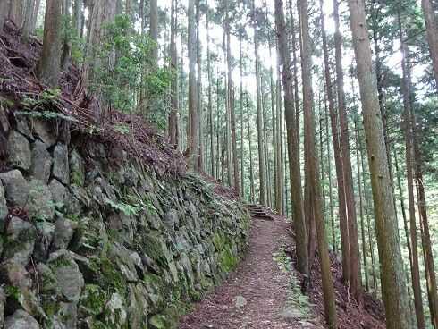 険しい登山道がある高束山コース