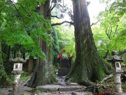 緑に囲まれた真福院