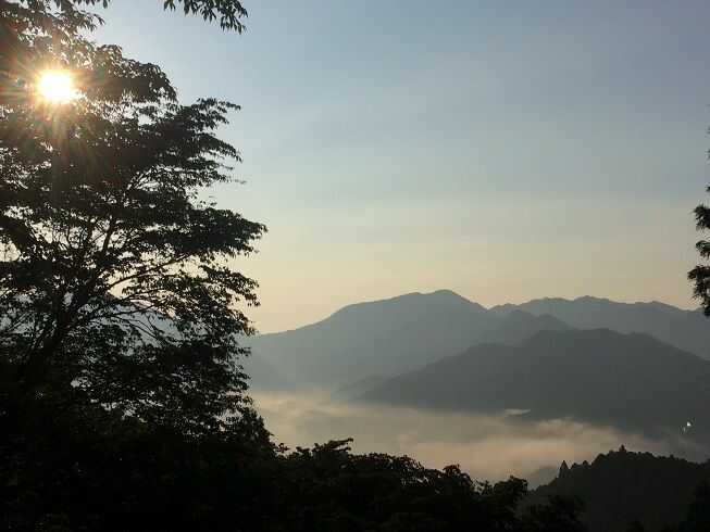 朝もやがかかる霧山