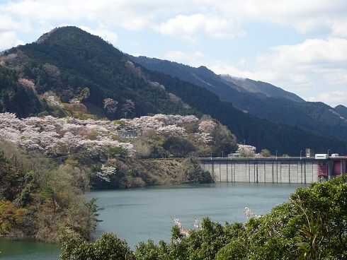 春の君ケ野ダム湖畔コース