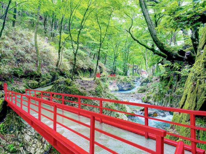 龍泉洞より流れる清水川の散策路