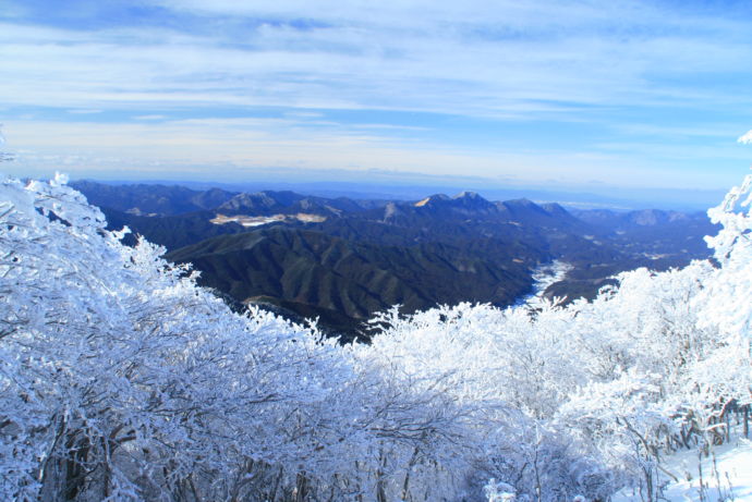 三峰山の霧氷