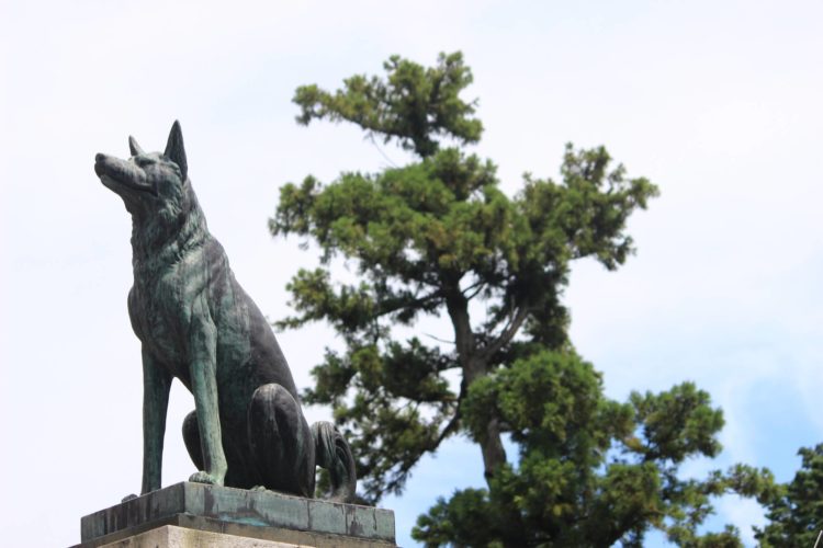 矢奈比賣神社の歴史・見どころについて