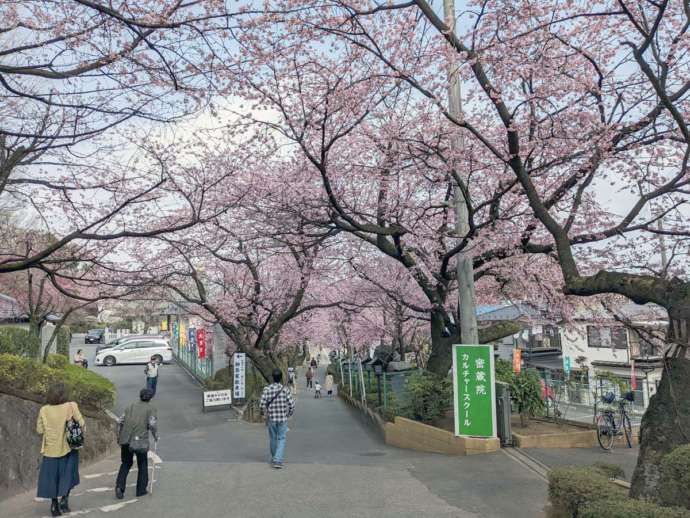 密蔵院の駐車場近辺の風景