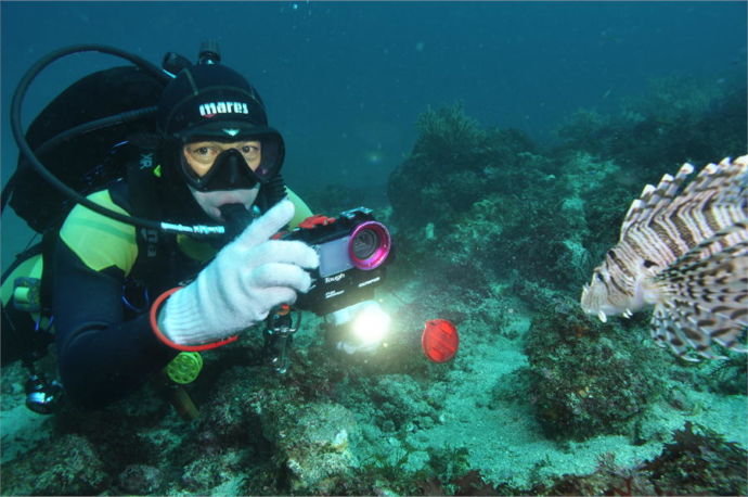 静岡県伊東市にある「伊豆高原ダイビングスクール リトルリッツ」のダイビングで珍しい魚を見つけた瞬間