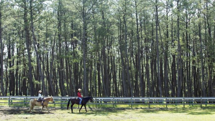 宮崎市のシーガイア乗馬クラブ「UMAIRU」