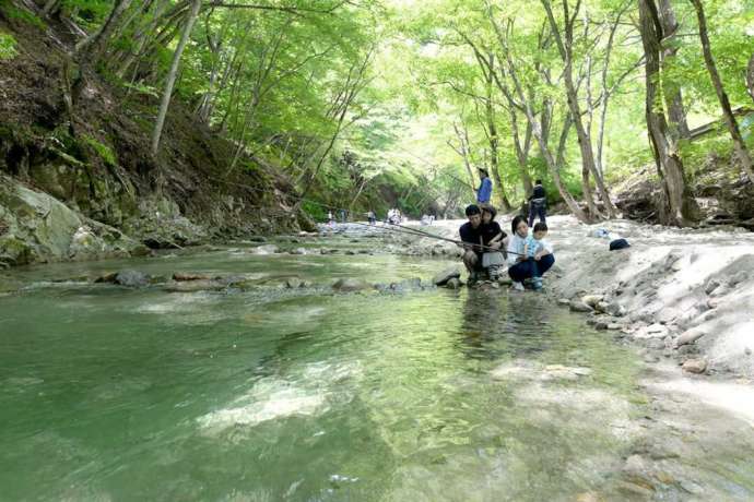 トンネルのようになった木の下で、三依渓流つり場の川魚釣りを楽しむ親子