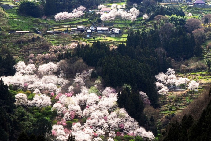 徳島県三好市にある山城町の風景写真