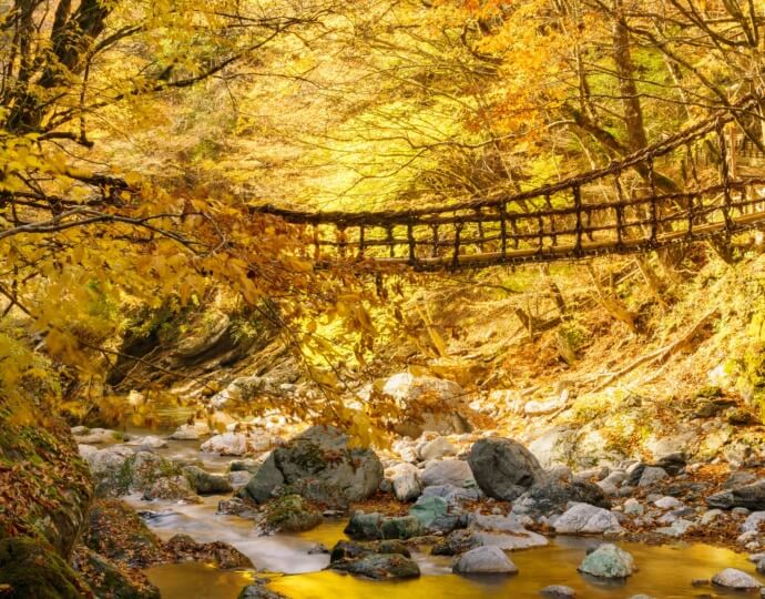 徳島県三好市にある奥祖谷のかずら橋の写真