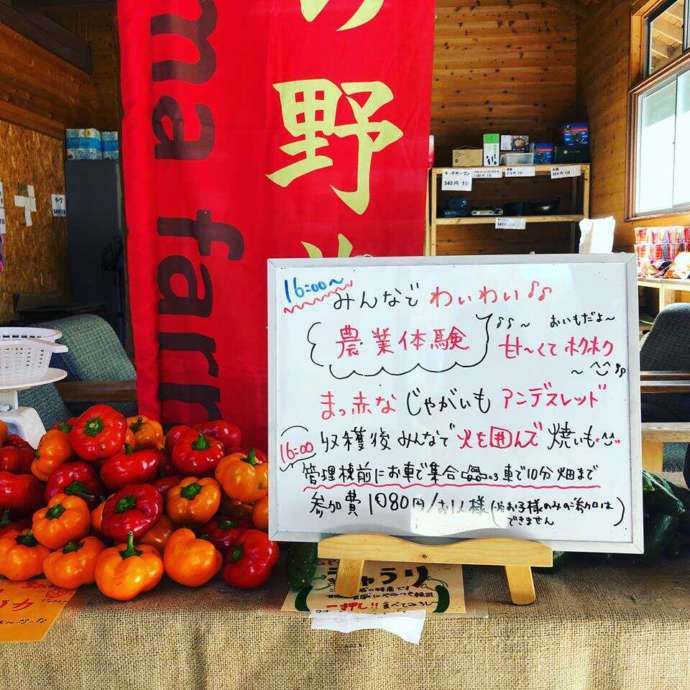 自家製無農薬野菜の販売所と、農業体験の看板