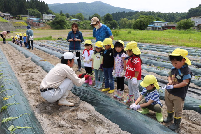 畑で体験学習を行う子ども達