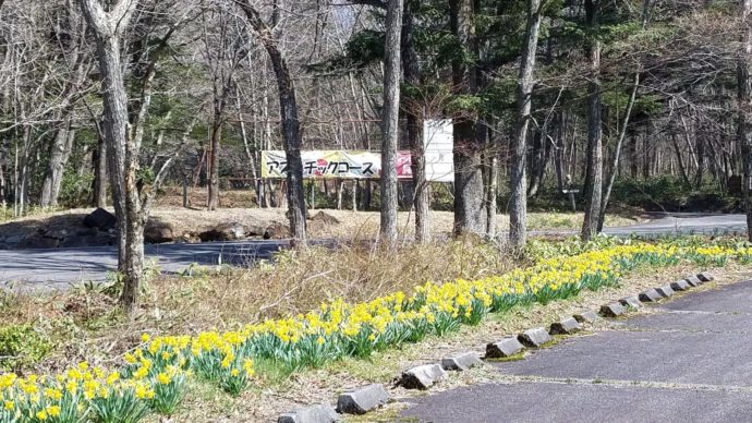 広島県立もみのき森林公園敷地内にあるアスレチックコース入口