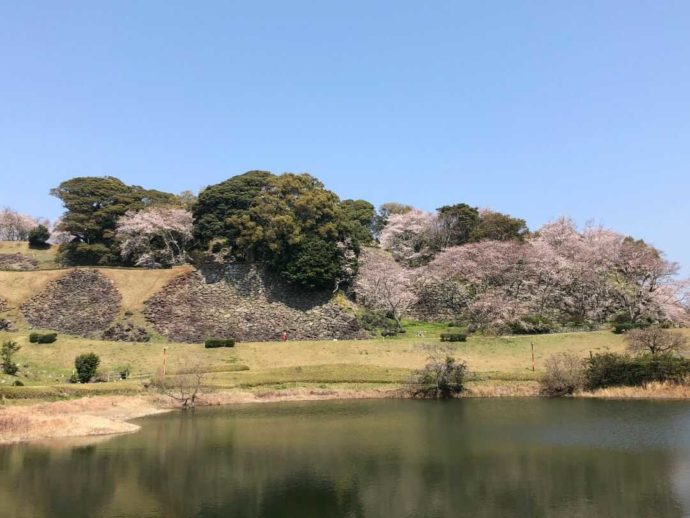 名護屋城跡の風景