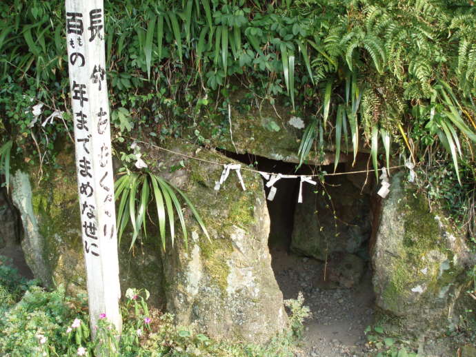 「桃太郎神社」の長命桃くぐり