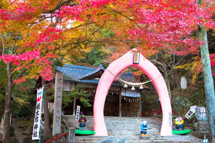 「桃太郎神社」の桃鳥居