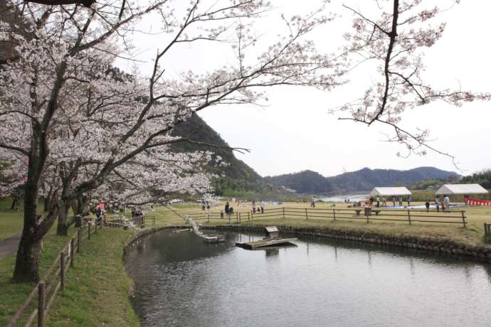 「桃太郎公園」の芝生広場