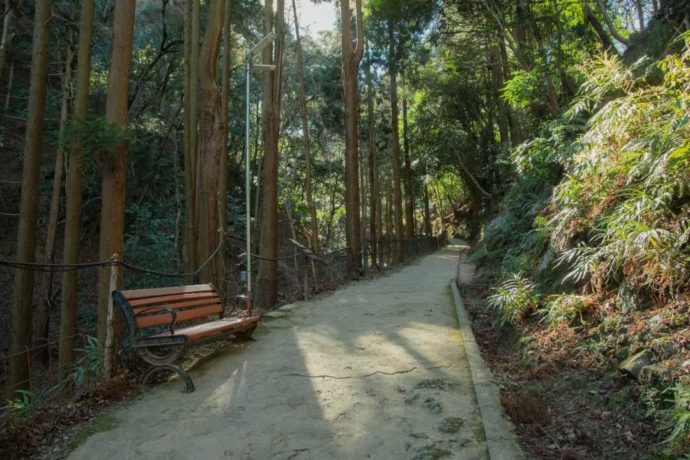 嵐山モンキーパークに至るまでの山道の様子