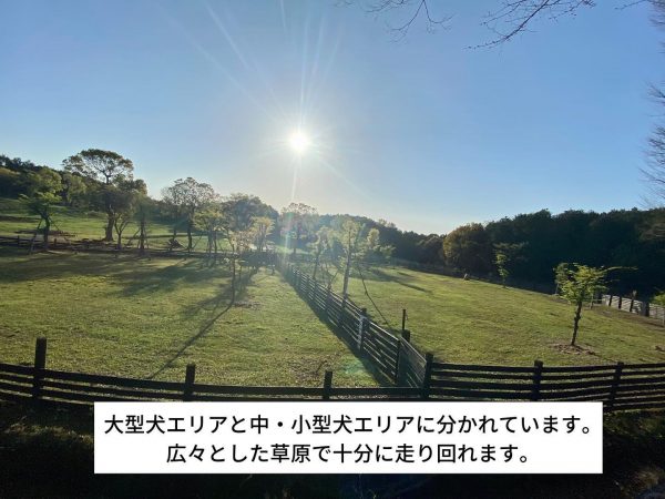 大型犬と中・小型犬で分けられた草原のドッグラン