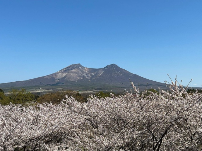 YOU・遊・森屋上展望台からの風景その2