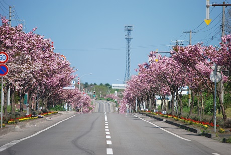 さわらフラワーロードの風景