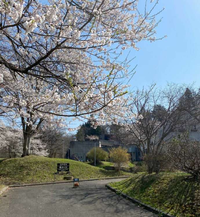 「ガラス体験工房 森のくに」の桜の風景