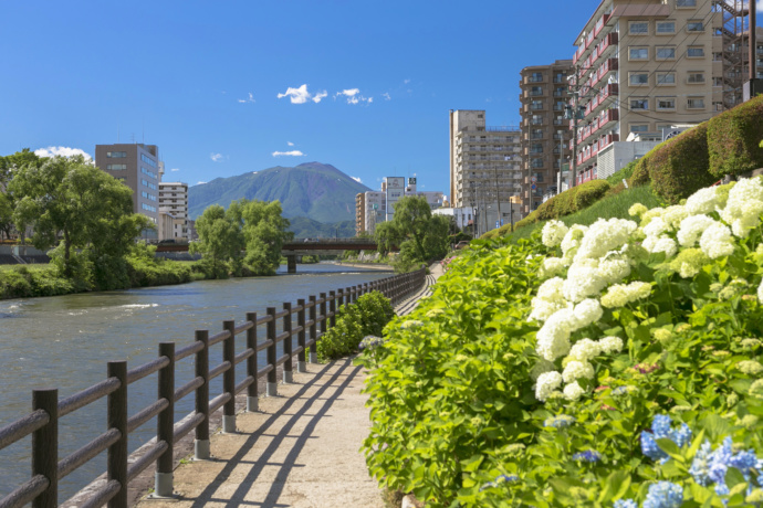 盛岡市の開運橋