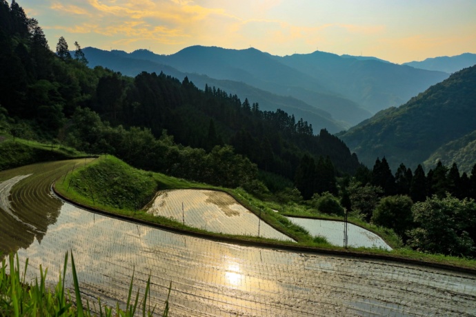 諸塚村の山林と棚田