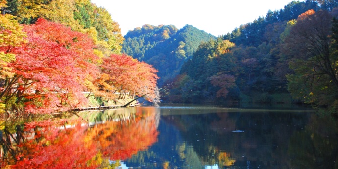 秋の鎌北湖の様子