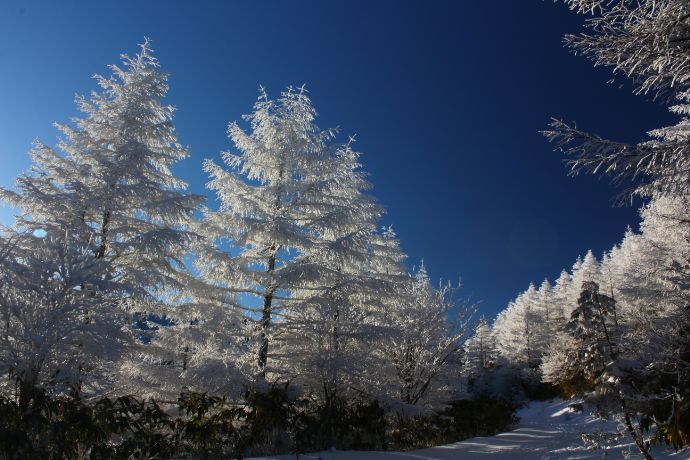 ヘブンスそのはら Snow Worldのスノーシューコースである富士見台パノラマコース