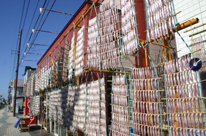 むかわ町の特産品　ししゃもの簾干し