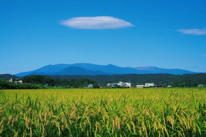 村田町の田園風景