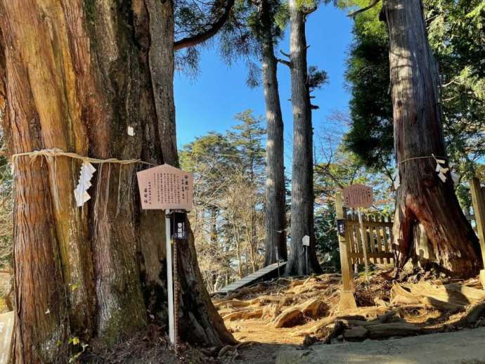 武蔵御嶽神社の摂社「産安社」の三名木