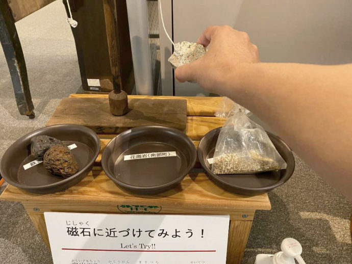 館内で触れることができる化石の写真