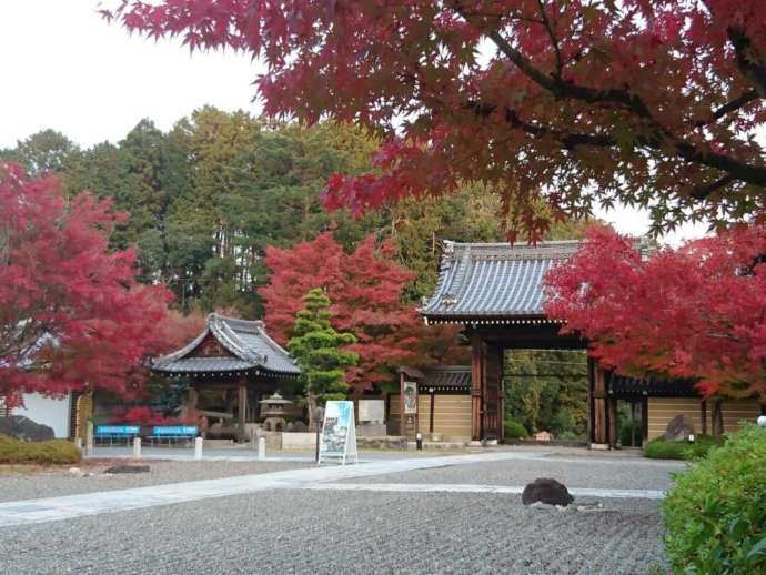 秋の妙満寺