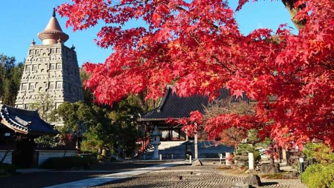 秋の妙満寺