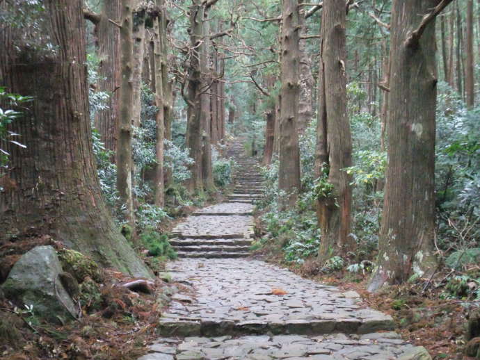 熊野古道の大門坂