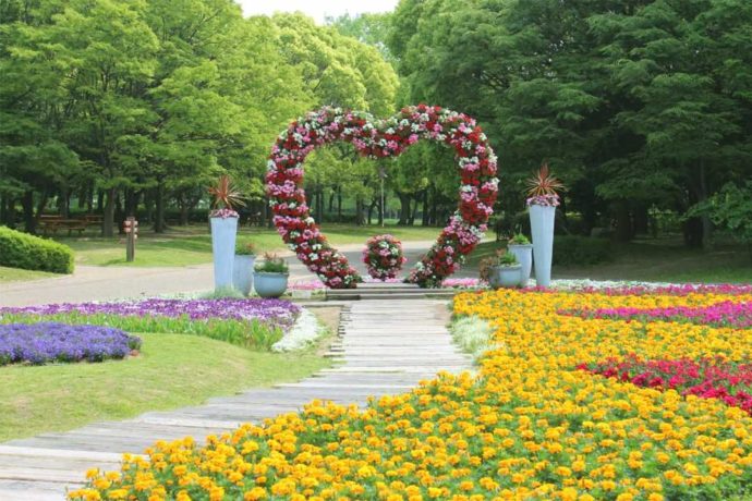 大阪市立長居植物園でカップルのフォトスポットとして人気の「ハート形の花壇」