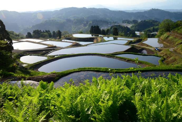 山あいに広がる山古志の棚田の風景