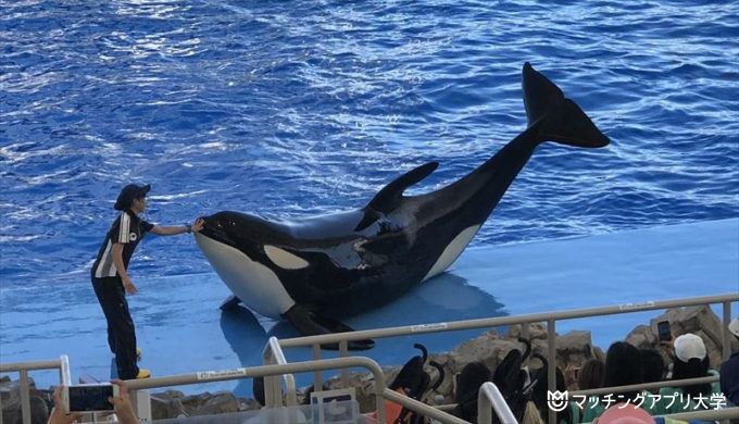 名古屋港水族館でのデートプラン3つを紹介！