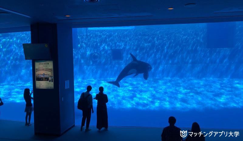 名古屋港水族館 シャチ